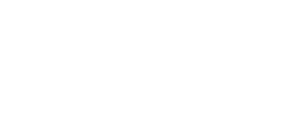 Partner logo 8
