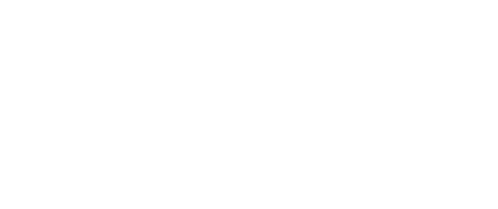 Partner logo 1